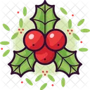 Holly Christmas Decoration Icon