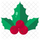 Mistletoe Adornment Tradition Icon