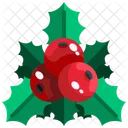 Mistletoe Mistletoe Christmas Icon