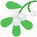 Mistletoe  Icon