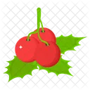 Christmas Berries Holy Berries Christmas Decoration Icon