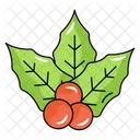 Christmas Cherries Mistletoe Berries Icon