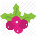 Mistletoe Mistletoe Berry Berry Icon