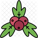 Mistletoe Christmas Berries Icon