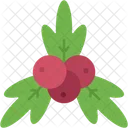 Mistletoe Christmas Berries Icon