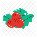 Mistletoe  Icon