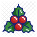 Mistletoe Decoration Tradition Icon