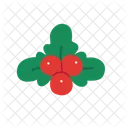 Mistletoe Christmas Holidays Icon