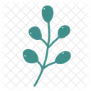 Mistletoe Plant Ornament Icon