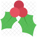 Mistletoe Christmas Holly Icon