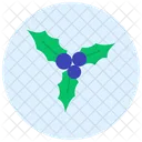 Mistletoe  Icon