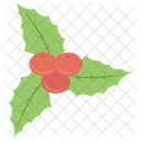 Mistletoe American Plant Phoradendron Icon