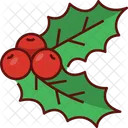 Mistletoe  Icon