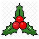 Mistletoe Viscum Kiss Me Not Icon