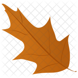 Mistletoe Leaf Icon