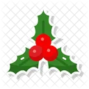 Mistletoe Viscum Kiss Me Not Icon
