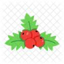 Mistletoes  Icon