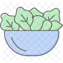 Mistura De Salada Organica Organico Salada Icon