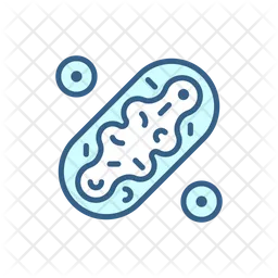 Mitochondria  Icon