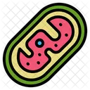 Mitochondria  Icon