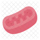 Mitochondria Biology Cell Icon