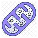 Mitochondria Ecology Laboratory Icon