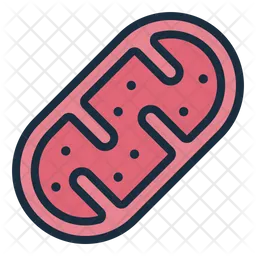 Mitochondrion  Icon