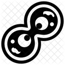 Meiosis Celulas Meioticas Reproduccion Sexual Icono