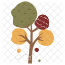 Mixed Tree Autumn Tree Icon