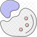 Mixing Palette Mixingpalette Palette Icon