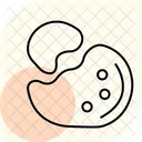 Mixing Palette Colour Palette Mixingpalette Icon