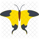 Mocker Swallowtail Insect Icon