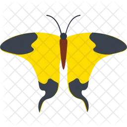 Mocker Swallowtail Butterfly  Icon