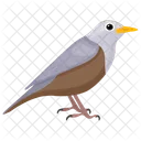 Mockingbird Passerine Bird Bird Icon