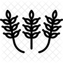 Motifs De Rizieres Rizieres Motifs Icône