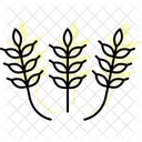 Motifs De Rizieres Rizieres Motifs Icône