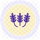 Motifs De Rizieres Rizieres Motifs Icône