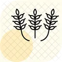 Motifs De Rizieres Rizieres Motifs Icône
