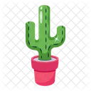 Succulent Cactus Plant Icon