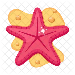 Modern Of Starfish  Icon