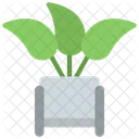Modern Plant  Icon