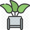 Modern Plant  Icon