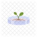 Plant Modification Genetic Icon