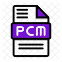 Pcm Fichier Document Icône