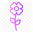 Mohn  Symbol