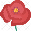 Mohn Blume Blute Symbol