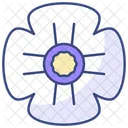 Mohnblume Blume Blute Symbol