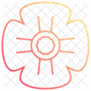 Mohnblume  Symbol
