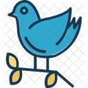 Moineau Twitter Social Icône