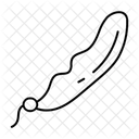  Icône